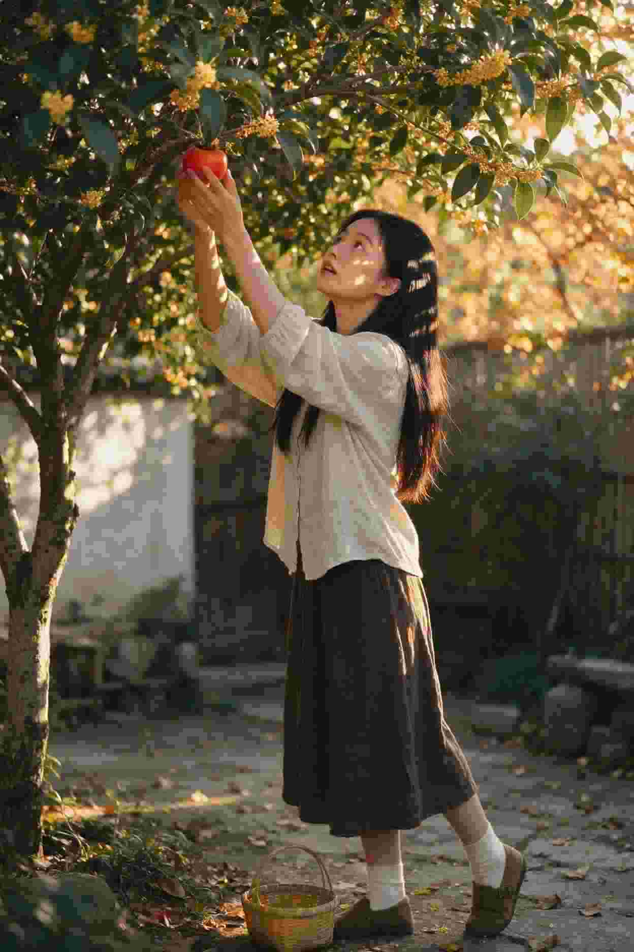 霸道总裁的契约婚姻